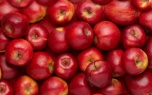 Здоровое питание. 13 интересных фактов о яблоках