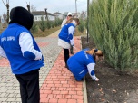 Преображенские волонтёры высадили в парке луковицы тюльпанов