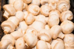 Обнаружены новые свойства белых грибов и обычных шампиньонов