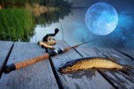 Лов рыбы по правилам