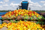 В Волгоградской области грантами поддерживают сельскохозяйственные кооперативы